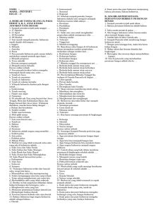 Soal PKN Kelas 3 Sumpah Pemuda PDF